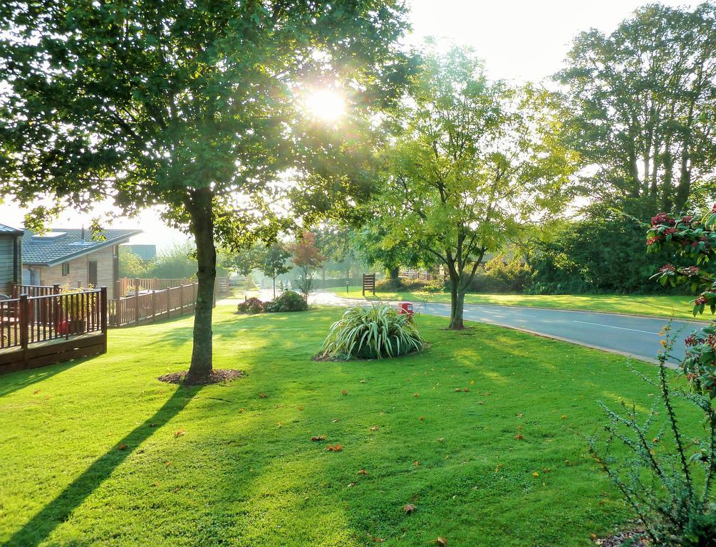Devon Hills Hotel Paignton Ruang foto